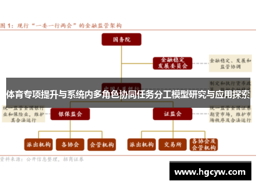 体育专项提升与系统内多角色协同任务分工模型研究与应用探索